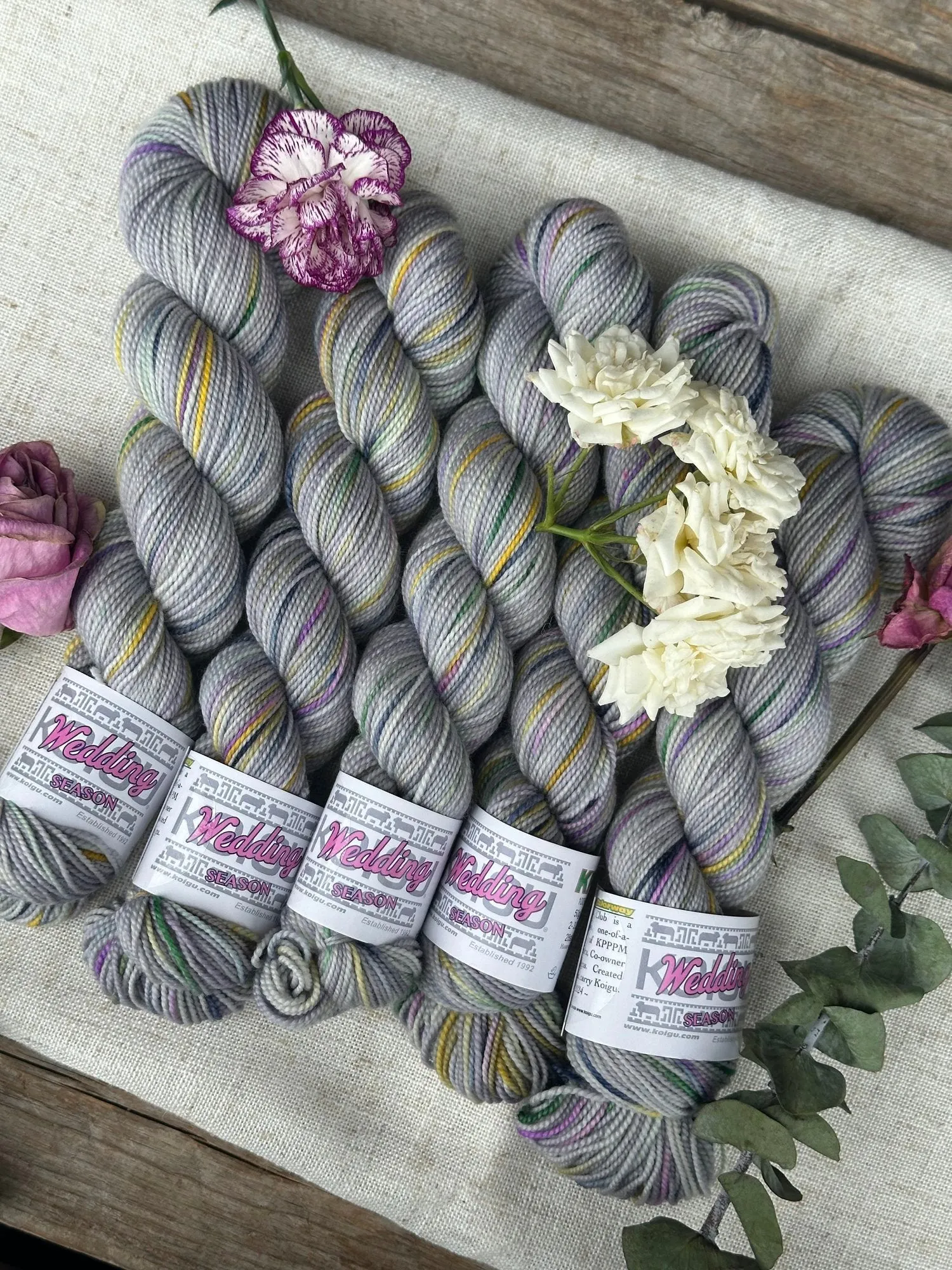 KOIGU KPPPM - Collector's Club