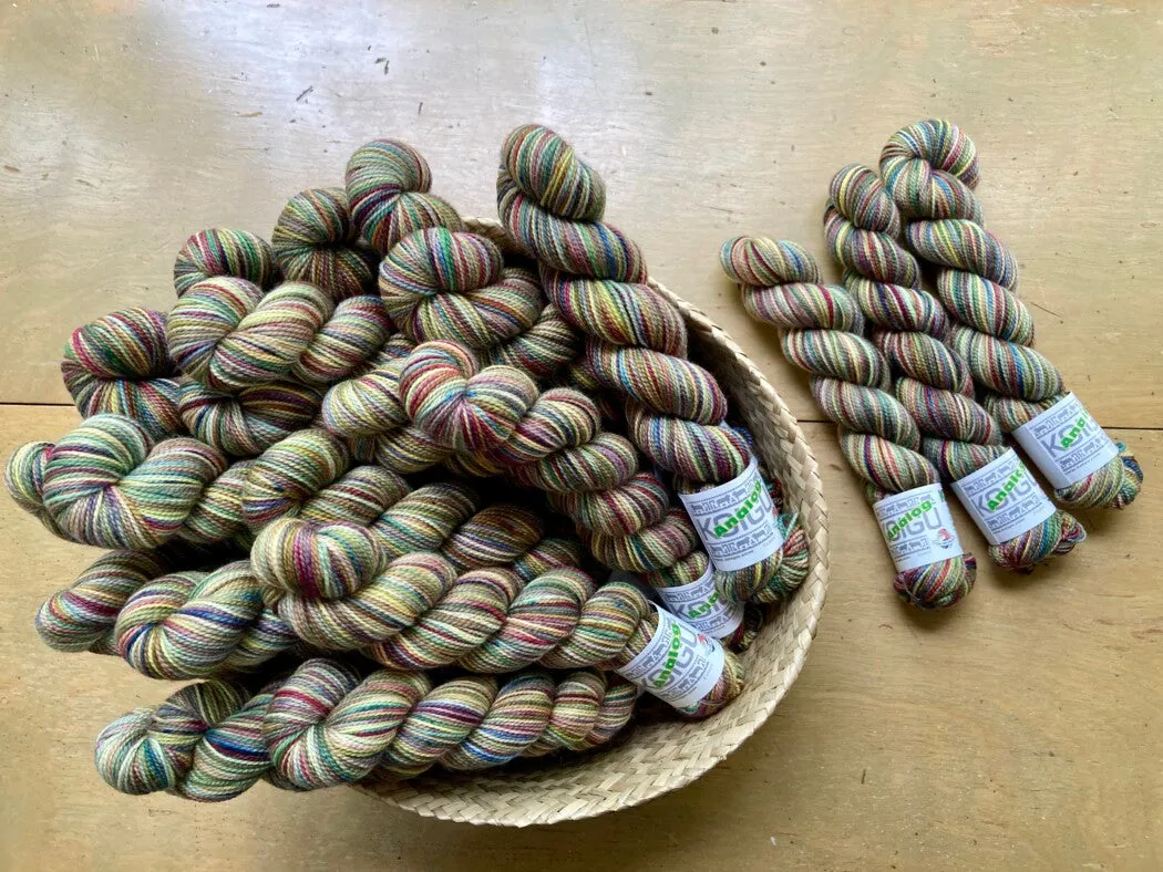 KOIGU KPPPM - Collector's Club