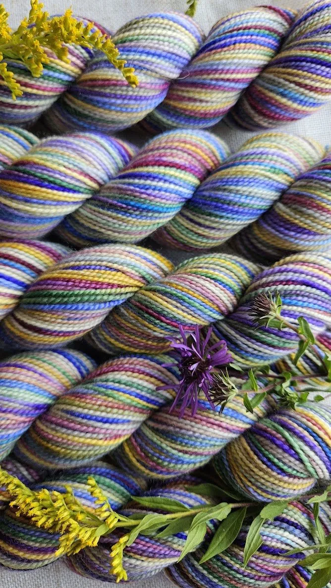 KOIGU KPPPM - Collector's Club