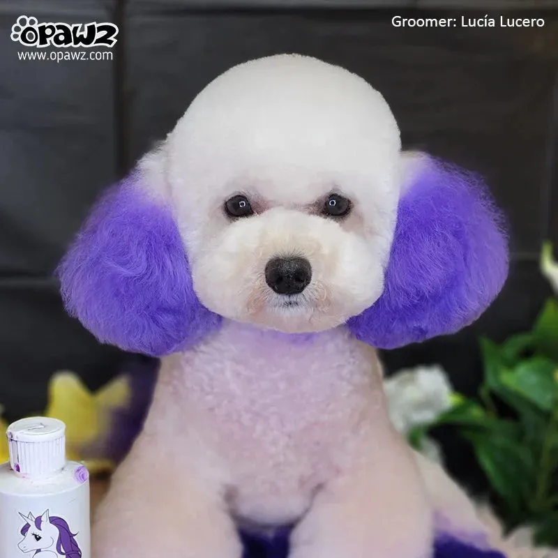 Permanent Dog Hair Dye Chic Violet 8oz by Opawz