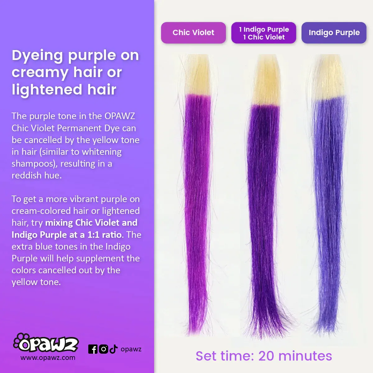 Permanent Dog Hair Dye Chic Violet 8oz by Opawz