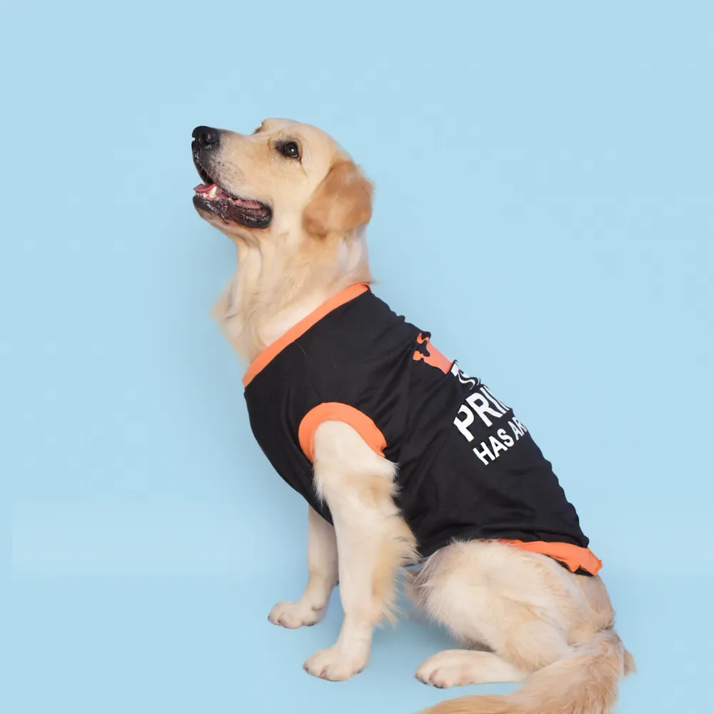 Prince has arrived Dog T-shirt