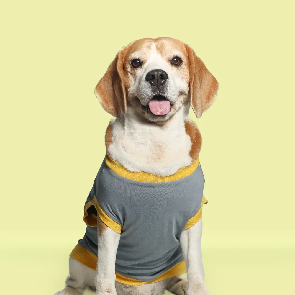 Single Taken Dog T-shirt