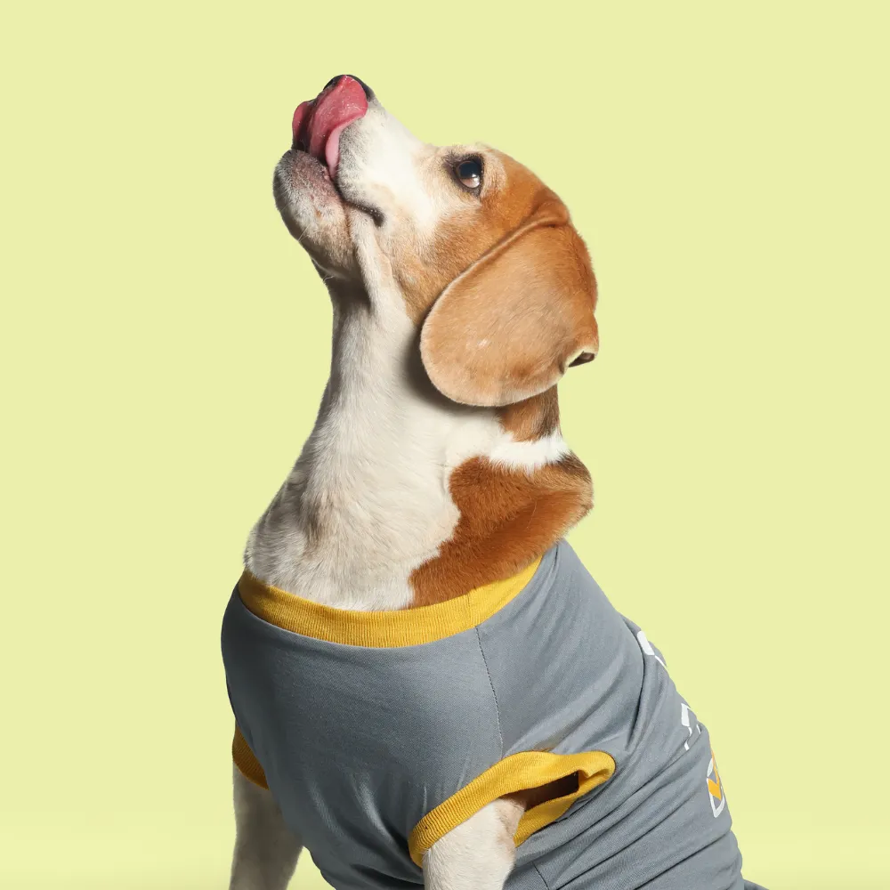 Single Taken Dog T-shirt