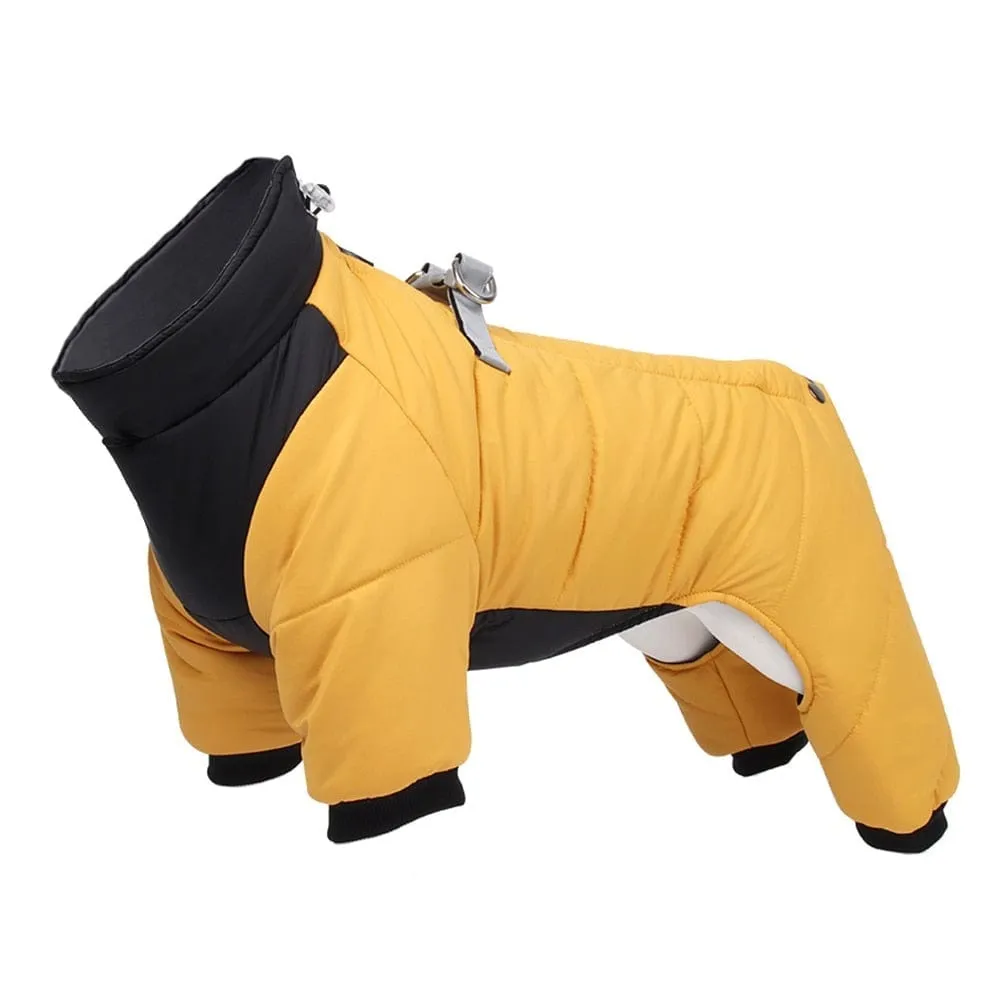 Windproof Cosy Dog Jacket