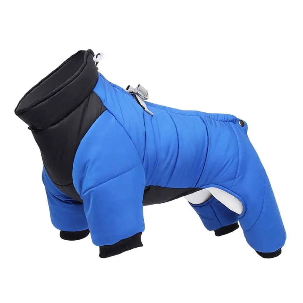 Windproof Cosy Dog Jacket