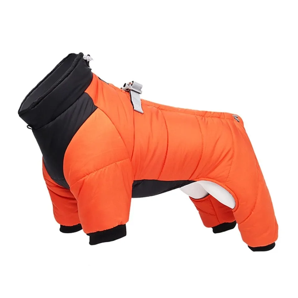 Windproof Cosy Dog Jacket