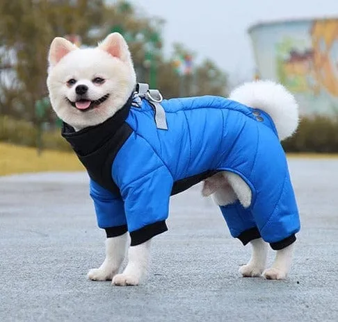 Windproof Cosy Dog Jacket